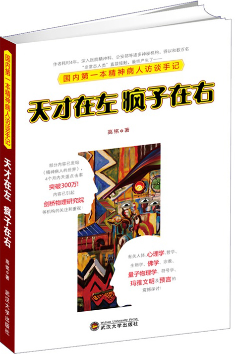 《天才在左疯子在右:国内第一本精神病人访谈