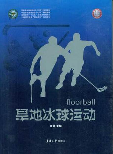 旱地冰球运动