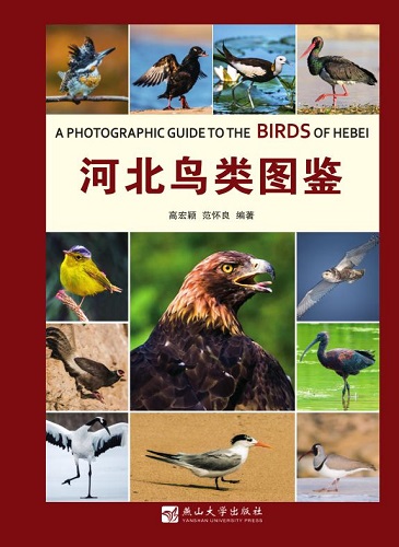 河北鸟类图鉴