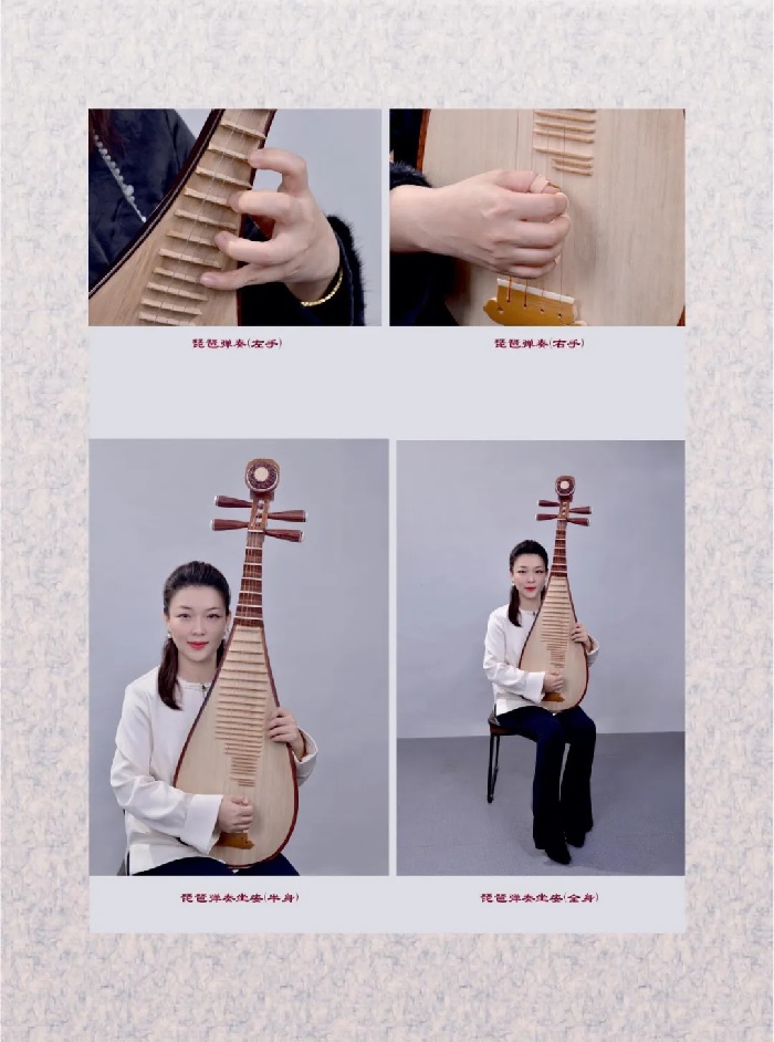 琵琶 中国琵琶 柳琴